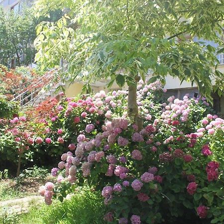 Thermal Orkide Pansiyon Yalova  Bagian luar foto