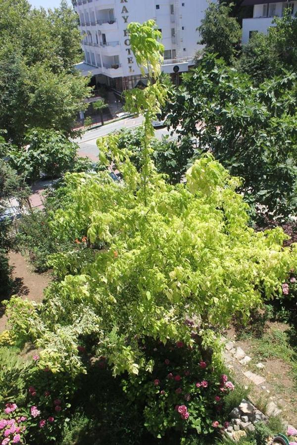 Thermal Orkide Pansiyon Yalova  Bagian luar foto